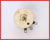 Picture of R75-5