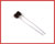 DM5FC101J03: 100pF 300V Dipped Mica Capacitor