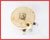 Picture of R2.4-100W-3/8X1/2F
