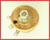 Picture of R2R0-50W-1/2LBX1/8S