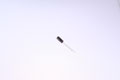 UPR1C220M 22.0000uf 16.0V capacitor.