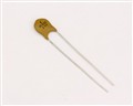 DI102K1KVZ5P 1000.0000pf 1000.0V capacitor.