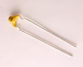 5NS101KRAEA 100.0000pf 2000.0V capacitor.