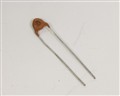 GP310 100.0000pf 1000.0V capacitor.