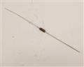 RN55D8451F  resistor.