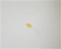 HLMP-0401 HEWLETT PACKARD  diode