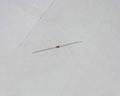 1N962B NSC  Diode
