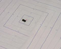 SN74F125DR TI  IC