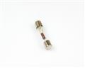313.400  fuse.