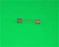 F02A250V1/4AS  fuse.