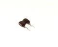 CD15FD101J03CL 100.0000pf 500.0V capacitor.