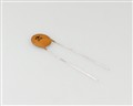CK502P 5000.0000pf 50.0V capacitor.