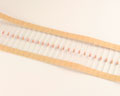 FRD25-T2-102J KOA  resistor 1 kOhm 5% Film Carbon Film