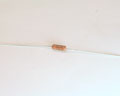 RN60C2260F  resistor.