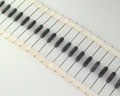 CW2B-300-5% DALE  resistor 300 Ohm 3W 5% Wirewound