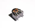 2DJ-00600003 by SINGATRON picture #2
