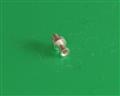 T19 VECTOR [2025003782] connector Accessories Contacts