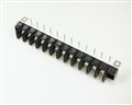 A2041-12-NLR48 MAGNUM [2025011521] connector terminal blocks single row
