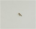 T28-1 VECTOR [2025011698] connector accessories contacts