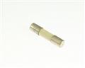 ABS-25  fuse.