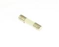 423-010 LITTELFUSE  fuse 10A 32V Cartridge 0.25x1.25in Time Delay