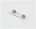 AGC-V-1-R GOULD [2026003551] fuse 1A 250V axial leads