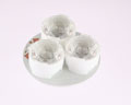 LSP3-R-025 LUMIDRIVES lighting devices [2099002420]